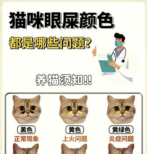 猫咪清除眼屎的方法与注意事项（细心呵护从眼屎开始）