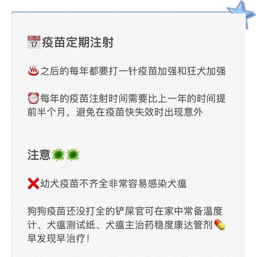 狗狗打抗体（了解抗体注射的时间表和效果，让狗狗更健康）