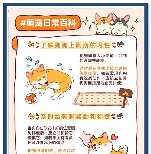 无毛豚鼠训练上厕所的技巧与经验分享（培养无毛豚鼠定点上厕所的方法与注意事项）