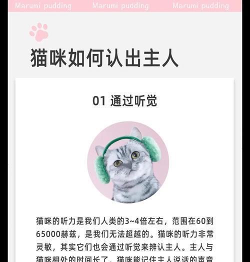 猫与主人的默契（探寻猫与主人感情的时效性及保持方式）
