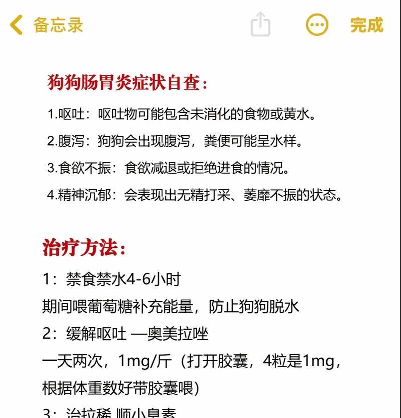 狗狗肠炎的康复时间及关键因素解析（了解肠炎，关爱宠物健康）