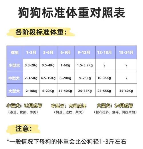 狗狗健康的三大指标——不仅仅是体温（了解这三个关键指标，更好地照顾你的狗狗）