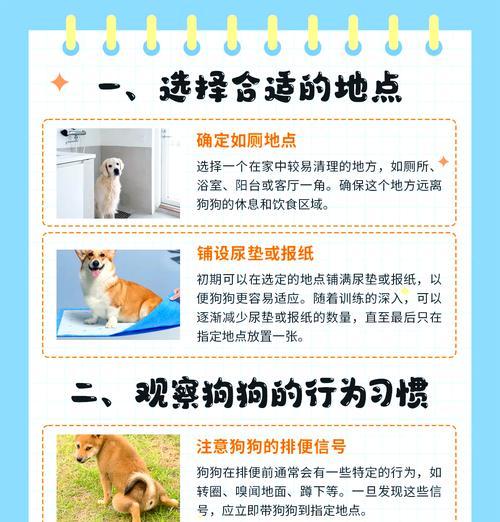 培养狗狗正确大小便的训练方法（有效训练狗狗去厕所的技巧和步骤）