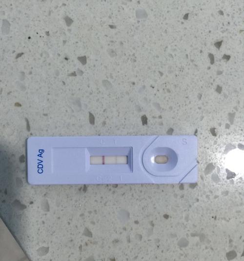狗狗是否能携带艾滋病菌？（探索狗狗艾滋病菌携带时间的）