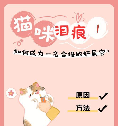保护你的猫咪（了解与预防猫咪受伤的关键）