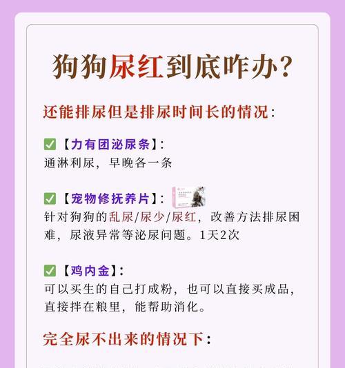 成年狗多久尿？（探讨狗狗排尿频率和持续时间的关键因素）