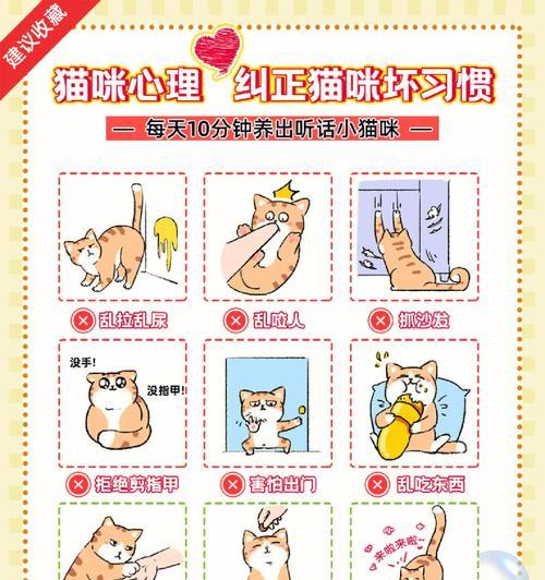 训练调皮猫咪的技巧（培养猫咪听话的方法和技巧）