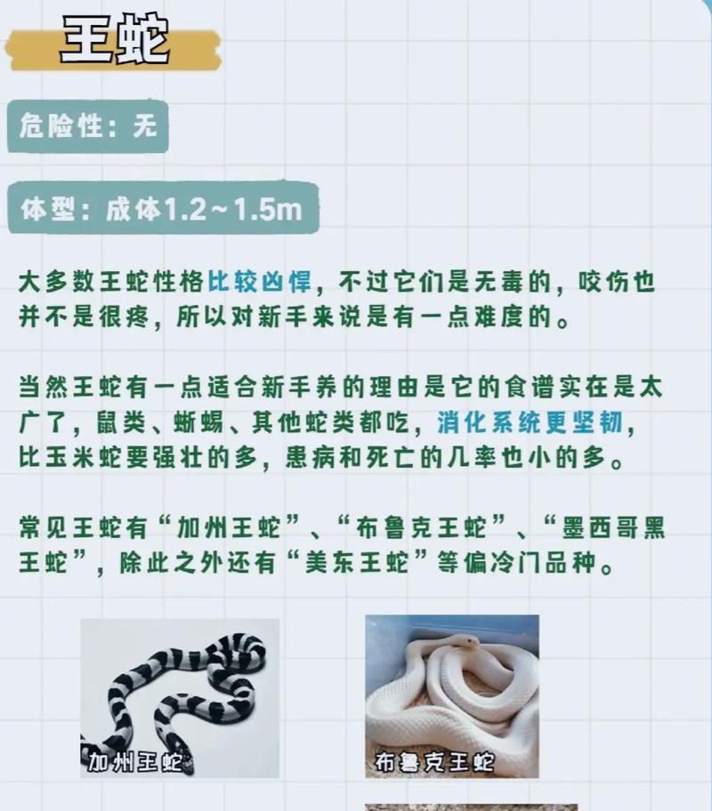 养宠物蛇需要的必备药品（为你的爬行宠物提供全方位的健康保障）