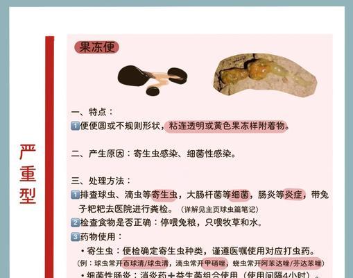 兔子为什么不能喝水？（过量食入蔬菜导致兔子腹泻的真正原因）