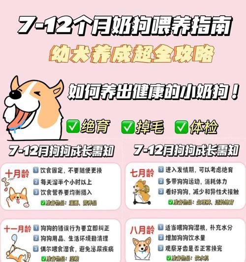 狗疫苗接种后驱虫的最佳时间（探讨狗疫苗接种后的驱虫时间及注意事项）