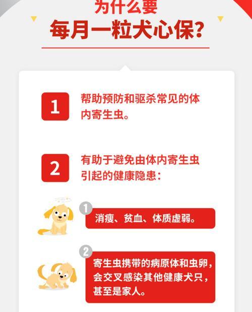 狗狗体内杀虫频率（宠物保健需求、预防控制方式及应注意事项）