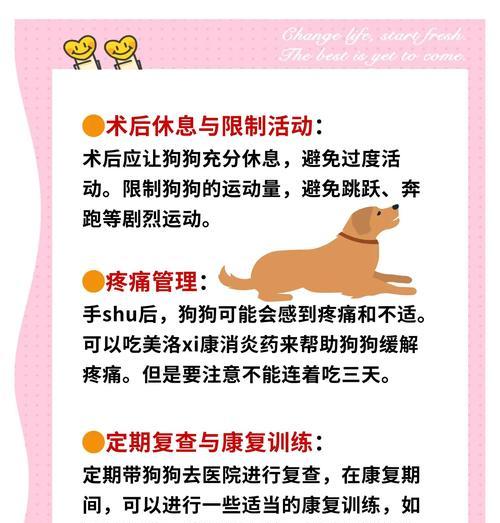 狗狗绝育手术（了解狗狗绝育手术的危险期及预防措施）