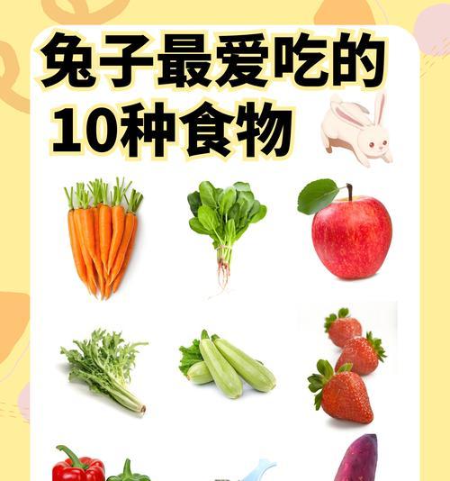 关于兔子饮食的禁忌，你了解多少？（小心！这些食物会伤害可爱的兔子）