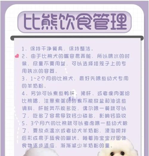 比熊剃毛频率的选择（如何确定比熊剃毛的最佳时间和间隔）