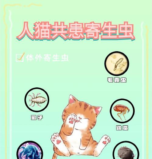 小猫驱虫的重要性（定期驱虫保护小猫的健康）