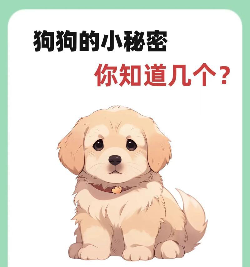 狗狗交配的几个秘密——关于狗狗绝育的思考（保护与关爱，绝育是最好的选择）