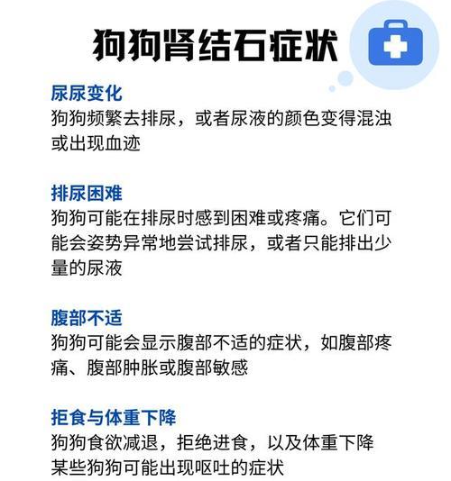 揭开狗狗肾结石的成因之谜（了解肾结石形成的原因和预防方法）