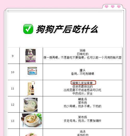 母狗生完后多久开始喂奶？（探讨母狗产后哺乳时间和注意事项）