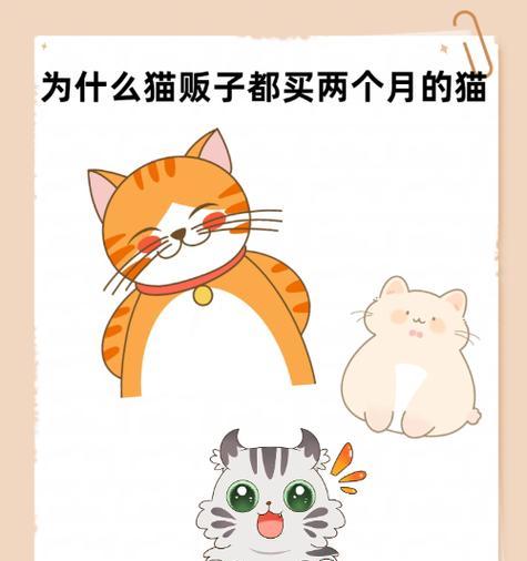 猫咪断奶时间的重要性（猫咪断奶的最佳时间点及关键影响因素）
