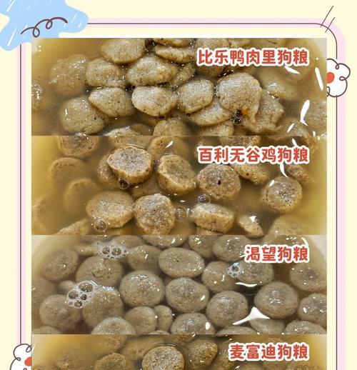 如何正确泡狗粮（掌握泡狗粮的时间和技巧）