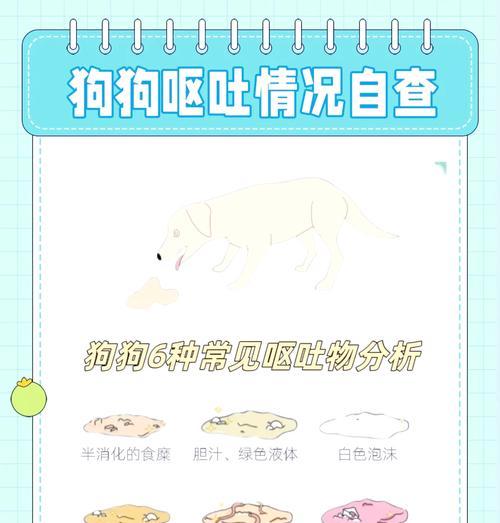 狗狗呕吐问题的解决方法（以对症用药帮助狗狗处理呕吐问题）