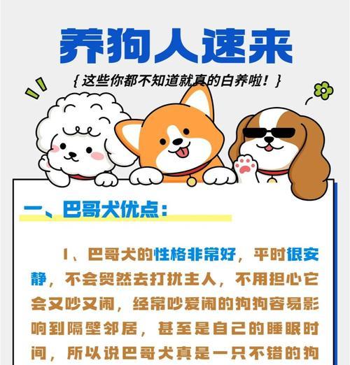 养京巴小狗的注意事项（选择、饲养和训练都要重视，给爱宠一个健康快乐的家）