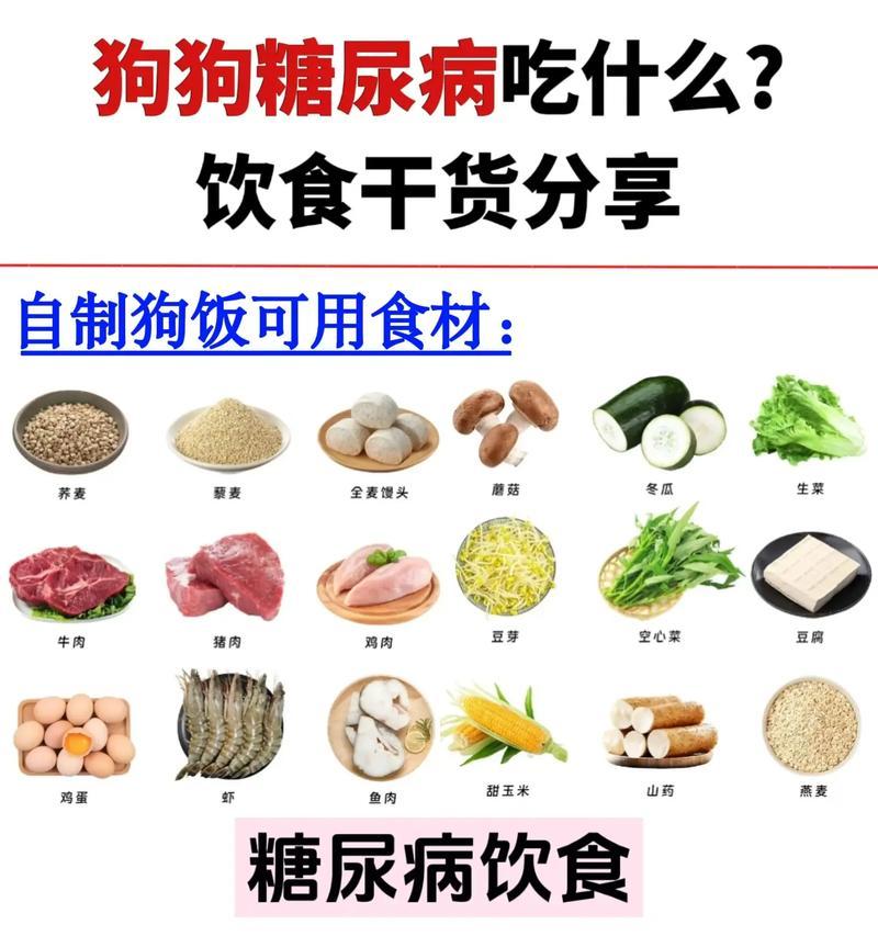 揭秘狗狗最爱的食物（探寻狗狗味蕾的独特偏好）