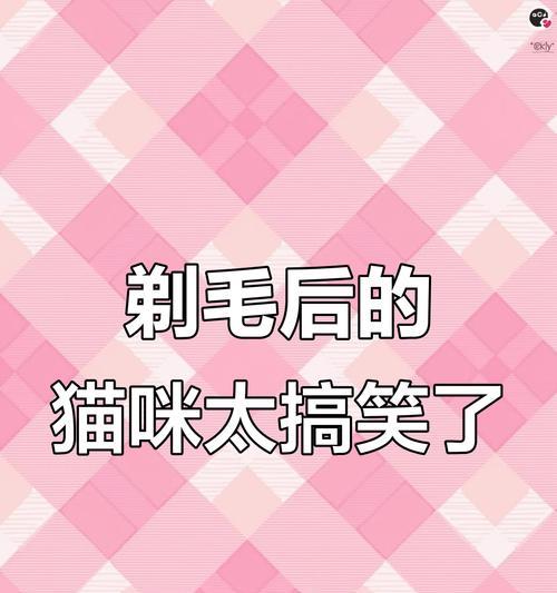 猫咪剃毛后的毛发生长周期（了解猫咪剃毛后多久长毛，让你更好地照顾你的爱猫）