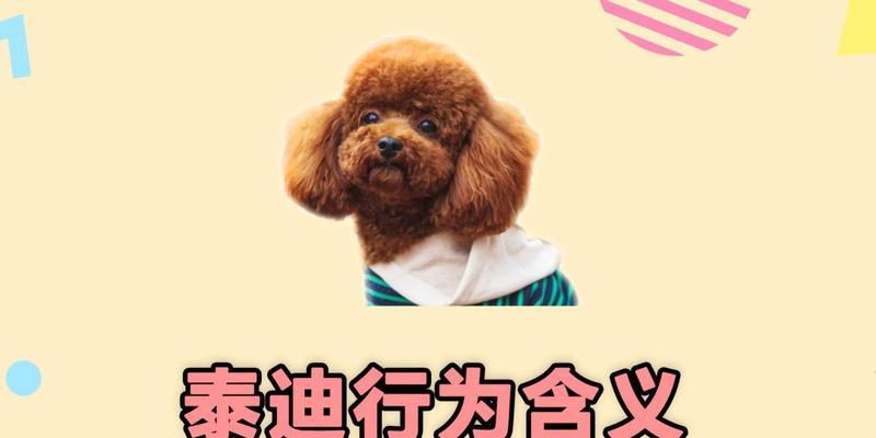 学习一个动作需要多长时间？（以泰迪为例，探索动作学习的时间消耗与技巧）
