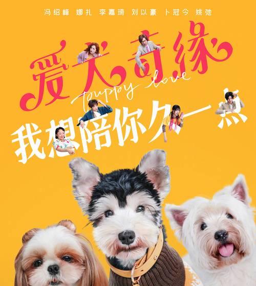 狗的电影故事片（探索人与狗之间深厚情谊的经典电影）