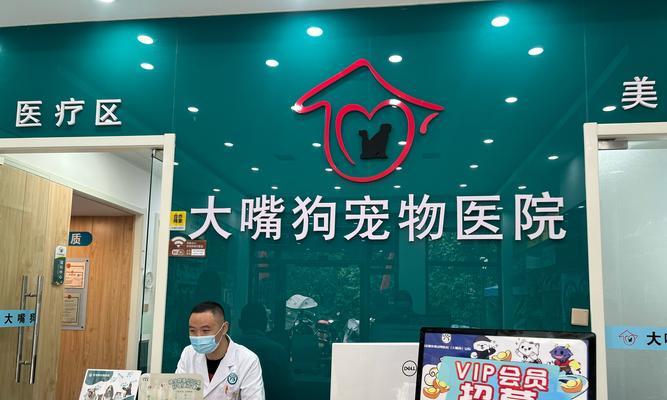狗狗打完疫苗后多久可以洗澡？（了解疫苗接种后洗澡的最佳时间）