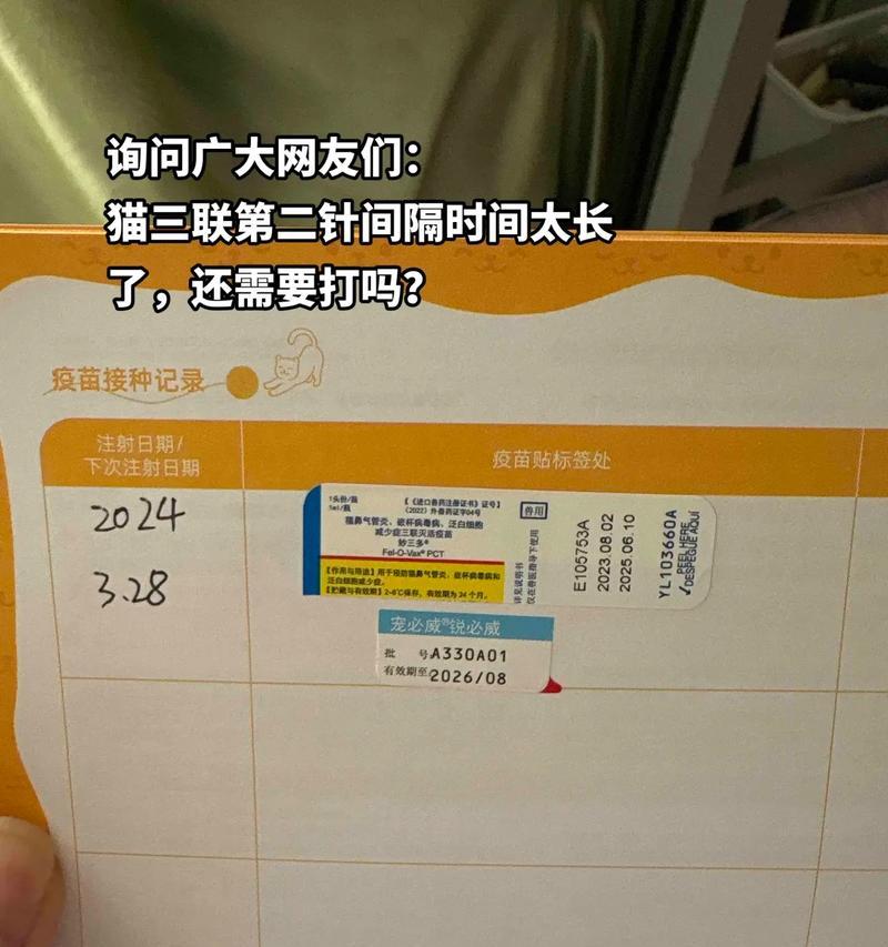 宠物猫打针的时间间隔与注意事项（保护宠物猫健康的必要措施与建议）