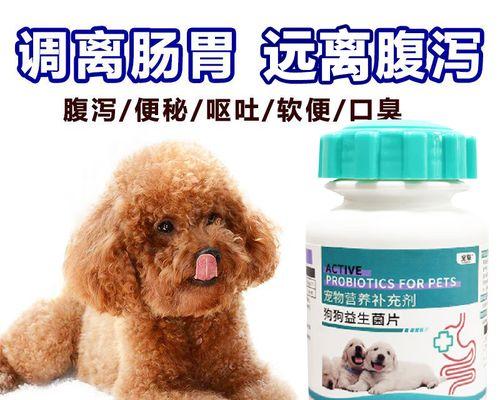 小狗拉稀进食多久？原因与处理方法详解（从饮食时间、饮食内容到处理措施，你需要了解的全部）