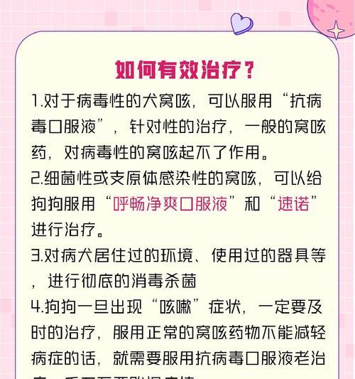 预防犬窝咳的措施（如何避免犬窝咳的传播及感染隔离）