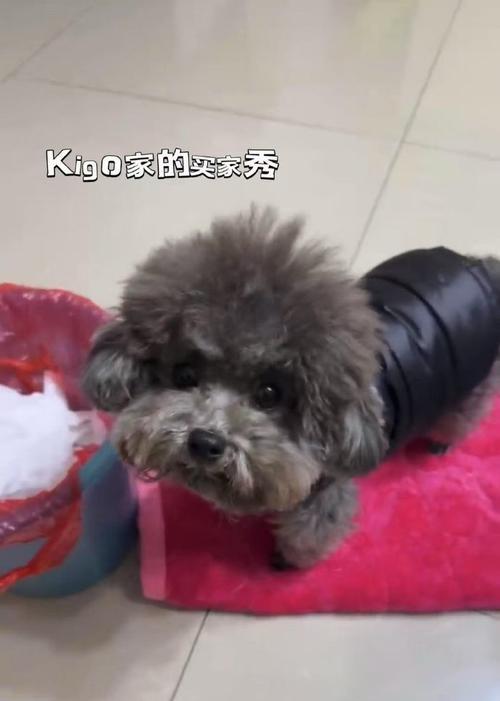 灰贵完全反灰的时间及过程揭秘（灰贵变色的奥秘与应用前景展望）