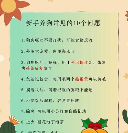 秋季养犬的注意事项（关爱宠物健康，享受秋日美好）
