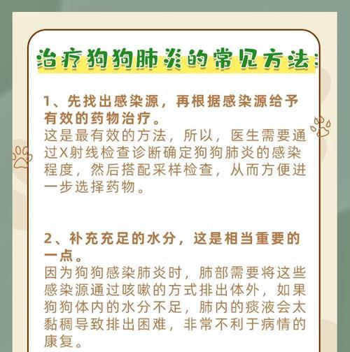 狗肺炎（掌握狗肺炎的关键症状，保护宠物健康）