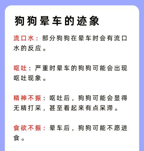 泰迪晕车现象及持续时间解析（解密泰迪晕车原因，了解晕车时间长度）