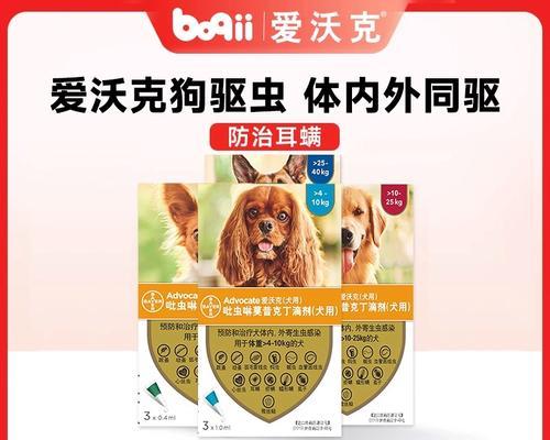 金毛幼犬的体内驱虫时间表（全面了解金毛幼犬体内驱虫，宠物健康保障的首要任务）