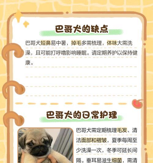 巴哥犬价格的变动因素（探究巴哥犬价格波动的原因及关键因素）
