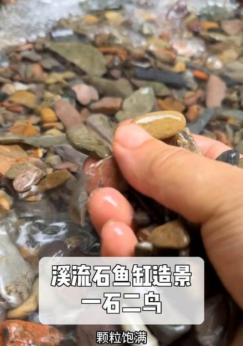 鱼缸造景之石头的选择（打造自然美景，选择合适的石头是关键）
