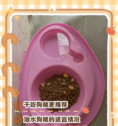 泰迪狗狗吃狗粮应该泡多久才合适？（以泰迪三个月龄的狗宝宝为例，探讨正确泡狗粮的时间和方法）