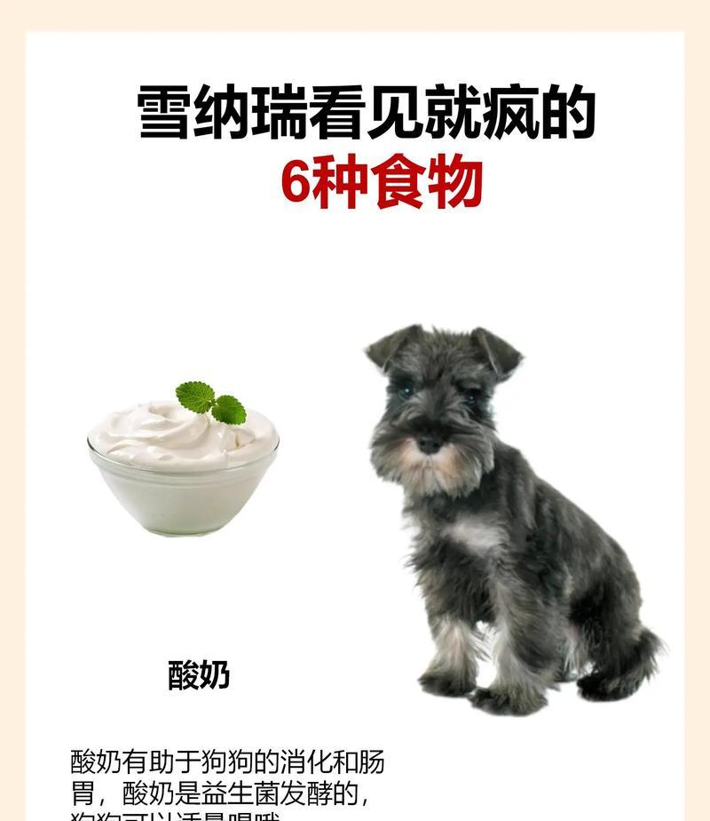 狗的饮食（哪些食物最适合你的毛茸伙伴？）
