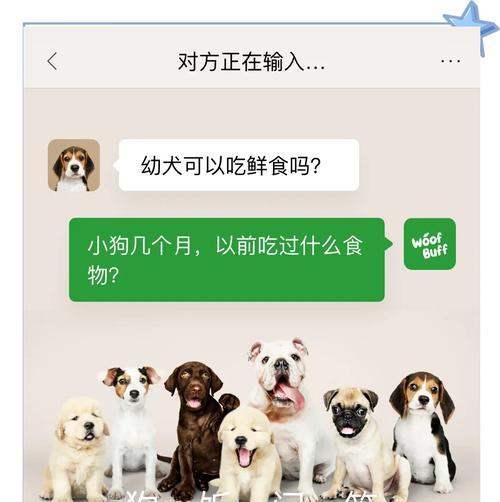 幼犬总是想吃东西的原因及如何管理（揭秘幼犬的消化系统及如何调理饮食）