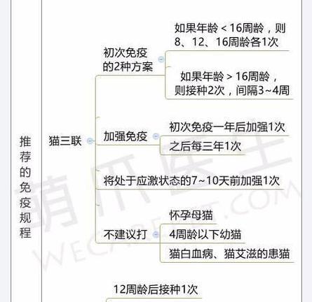 猫咪打完疫苗后适合何时换粮？（了解猫咪换粮的最佳时机与注意事项）