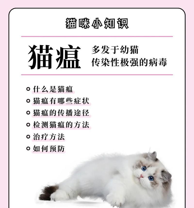 猫是否会感染艾滋病？（了解猫与艾滋病的关系及传播风险）