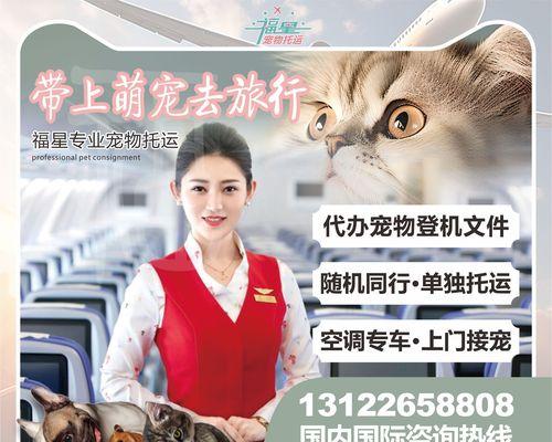 狗狗检疫证办理时间揭秘（从申请到拿证，这个过程需要多久？办理时间取决于哪些因素？）