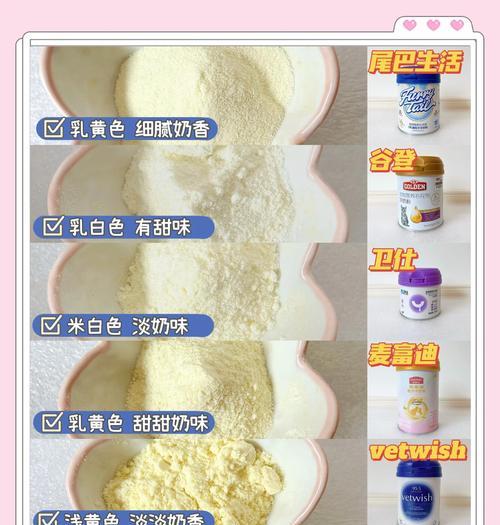 幼猫的喂养指南（照顾幼猫健康成长，从喂养开始）