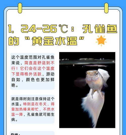 孔雀鱼的饲养之喂食频率剖析（探究孔雀鱼的理想喂食频率及关键因素）