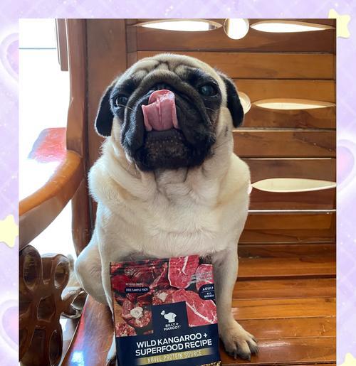 以巴哥犬的饮食之道（选择低油低盐0添加的狗粮，让爱宠健康成长）